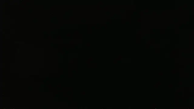 Chat XXX Live falconcam