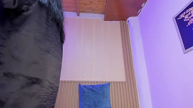 sharonscoth Chat XXX live