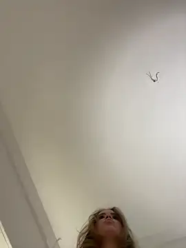 Chat XXX en directo de doslatinos