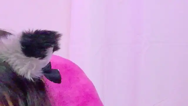 Sachi_Meow 라이브 XXX 채팅