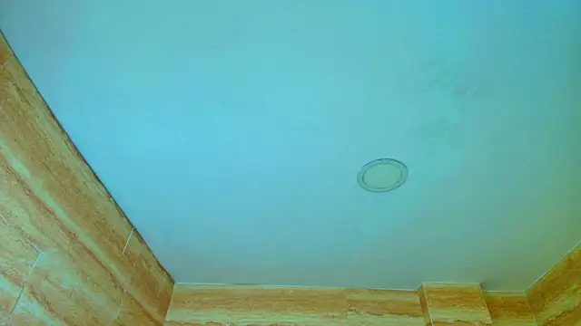 Chatroom XXX en direct de Wendy_r_
