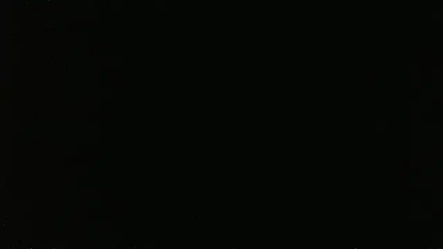 falconcamn Live XXX chat