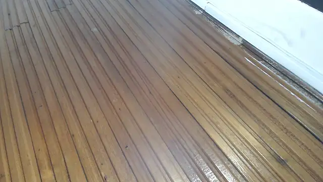 XXX chat uživo modela samy_gp