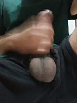 GMLTn Webbikameraesitys