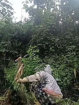 quynhkoolbaen Webbikameraesitys
