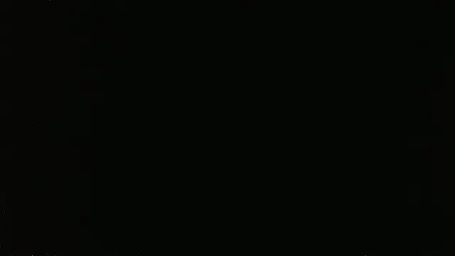 Show Webcam de falconcam