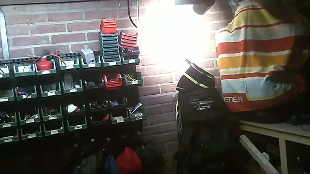 pietjebelxxkaar81xx – webcam-show