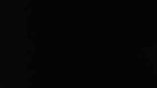 Chat XXX en directo de falconcam