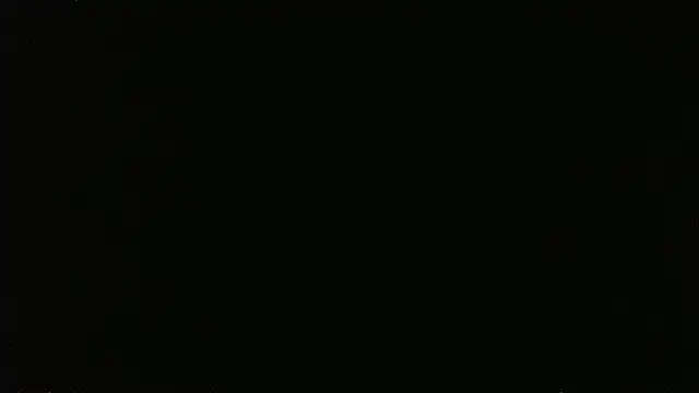 falconcam's Live XXX Chat