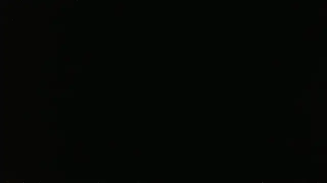 Show Webcam de falconcam