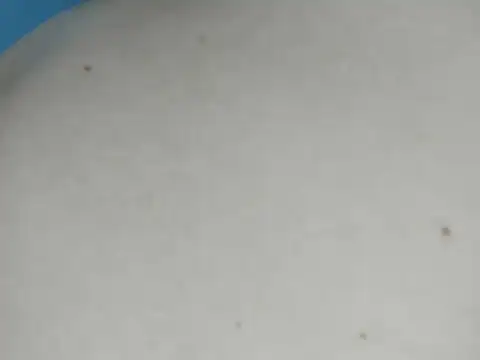 دردشة SOJAK الجنسية المباشرة