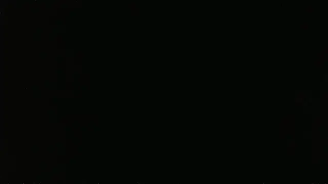 falconcam Live XXX Chat