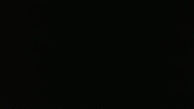 falconcam – webcam-show