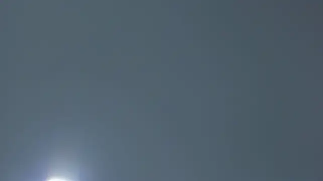 rousemonroen Live XXX chat