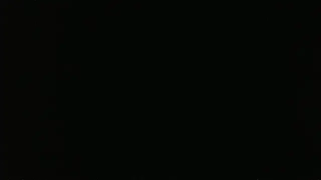 Show Webcam de falconcam
