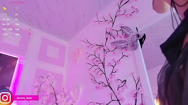 Sammyblaer 即時 XXX 聊天