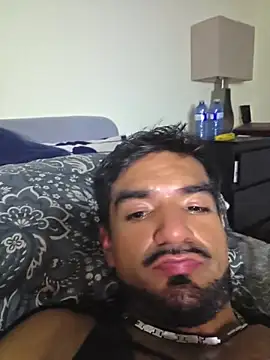 piggylatino élő XXX-chatje