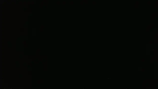 Show webcam de falconcam