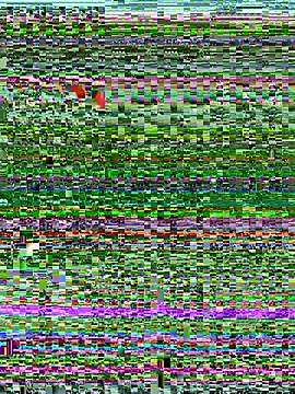kHatsunen Live XXX chat