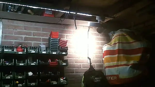 pietjebelxxkaar81xxn Webbikameraesitys