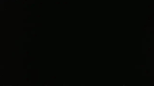 Show webcam de falconcam