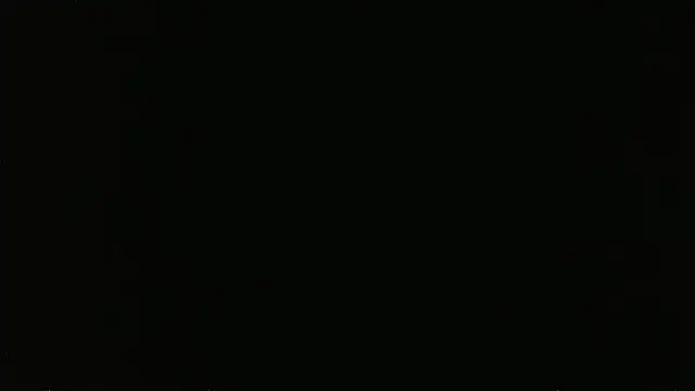 falconcam's Webcam Show