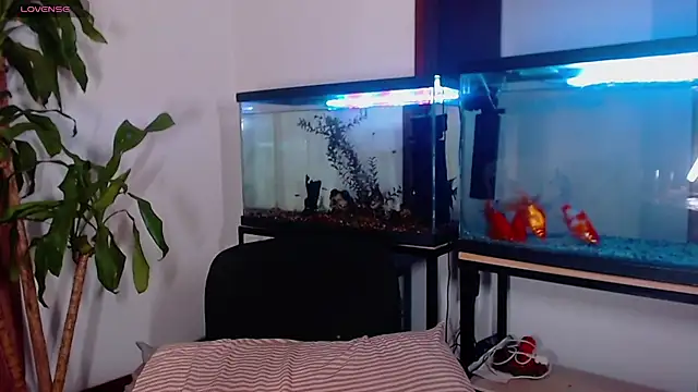 TastyTrap_18 라이브 XXX 채팅