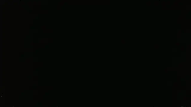 falconcam 现场XXX聊天