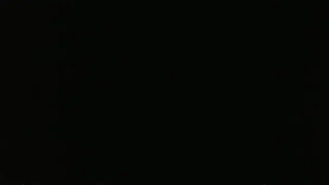 falconcam's Live XXX Chat
