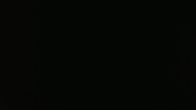 falconcam's Live XXX Chat