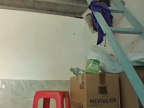 Palatable69-VN Obrolan Langsung XXX