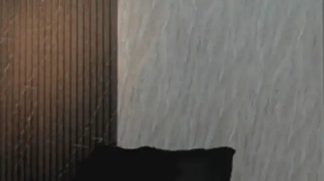 thesituationsjn Live XXX chat