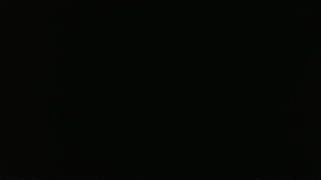 falconcam – webcam-show