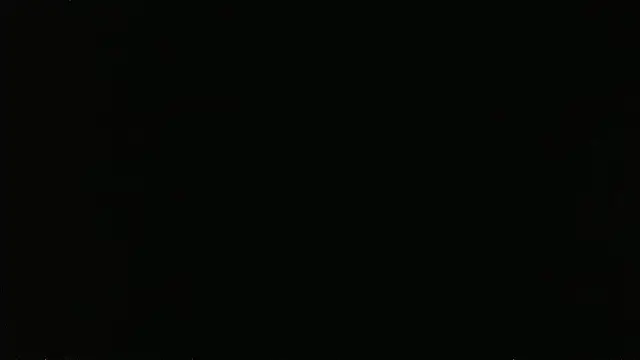 falconcam ওয়েবক্যাম শো