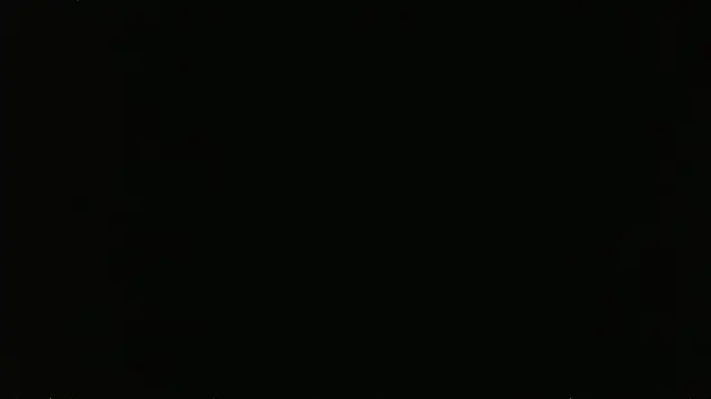 falconcam Webcamshow