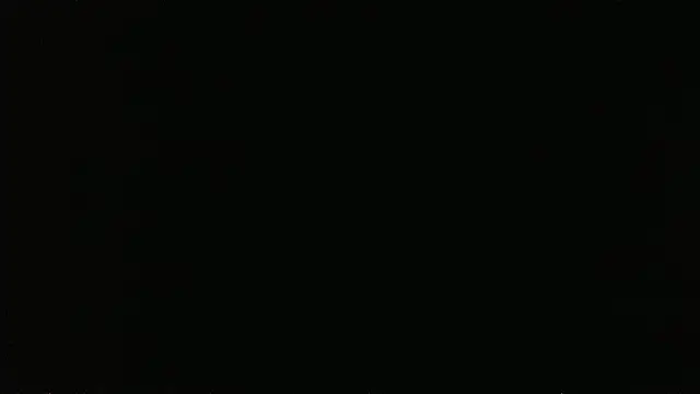 Show de falconcam na webcam