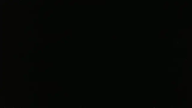 falconcam – webcam-show