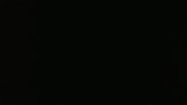 falconcam Webcam show
