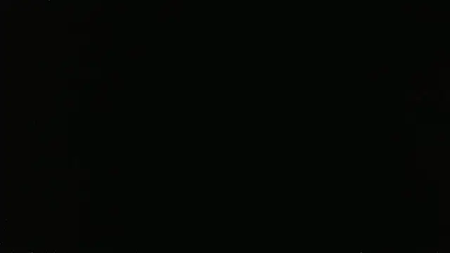Czat XXX na żywo – falconcam