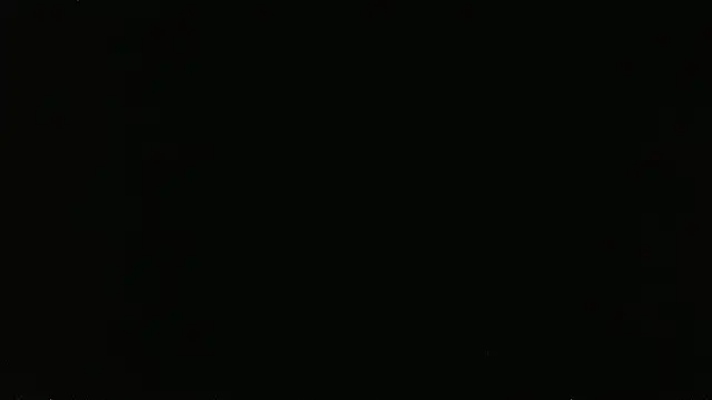 falconcam Webcam-Show