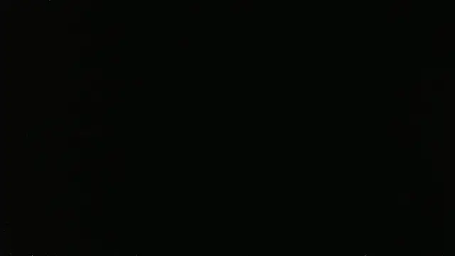 Show Webcam de falconcam