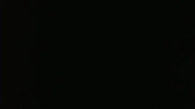 Show webcam de falconcam