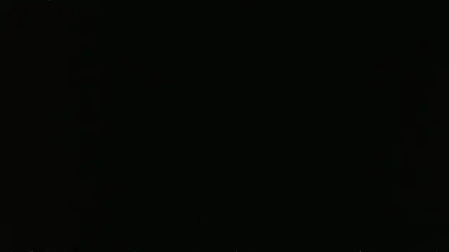 Show webcam de falconcam