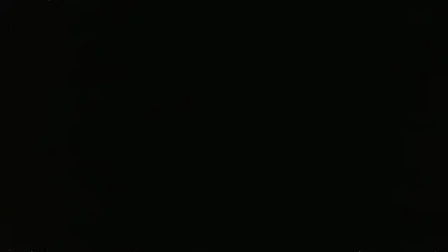 falconcam: вебкам-шоу