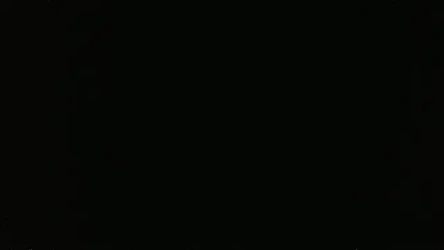 falconcam Webcam-Show