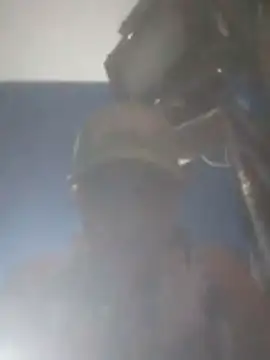 S7LEALTADPERVLIMA7 Pertunjukan Webcam