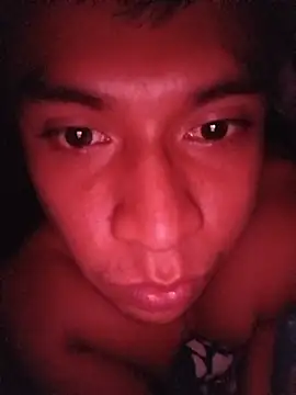 Show Webcam de mask011