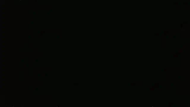 falconcam Шоу с уебкамера