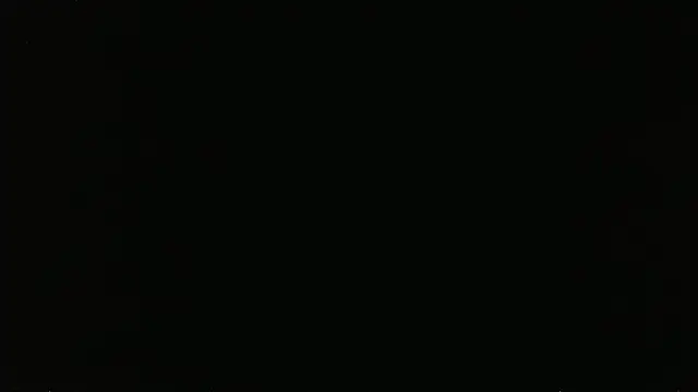 Show webcam de falconcam