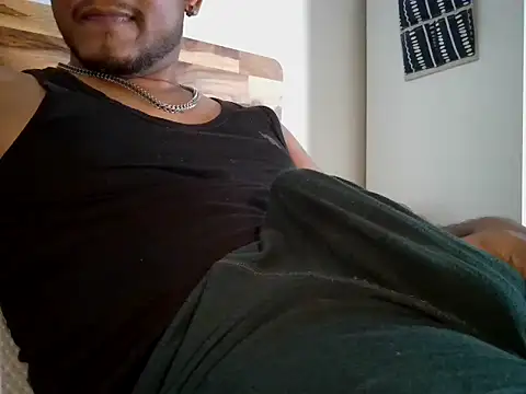 Show de Professor_Pie na webcam